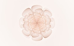 2014 05 08 Calm Before 54-white.jpg